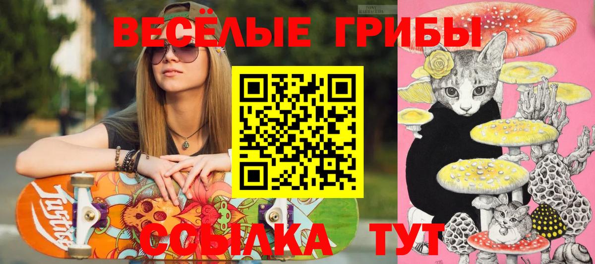 Кирово-Чепецк  закладка  Вход с VPN  Псилоцибиновые грибы мицелий 