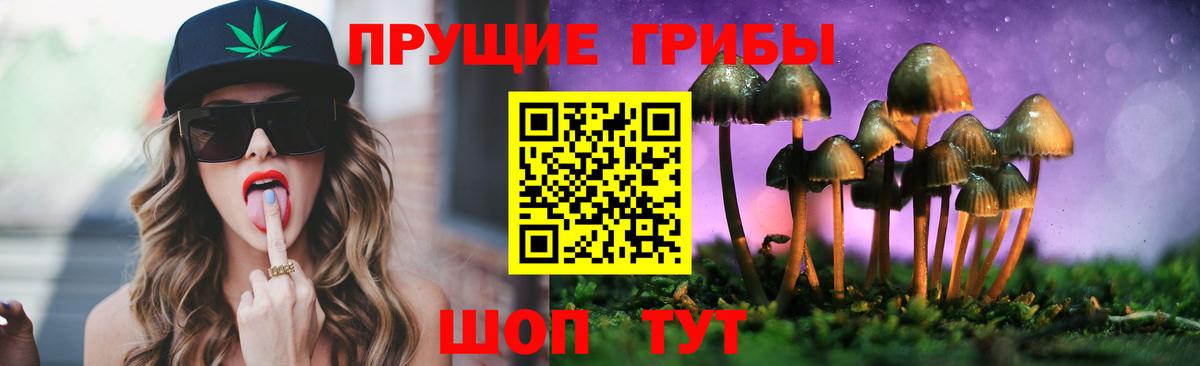Псилоцибиновые грибы мицелий Кирово-Чепецк